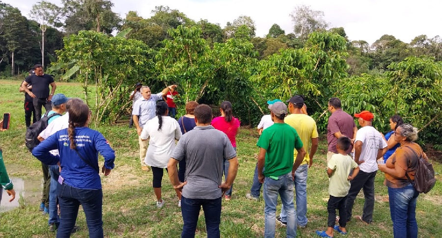 Curso em Silves aborda colheita e pós-colheita de cafés robustas amazônicos