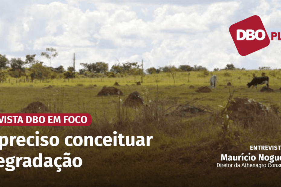 Classificar as pastagens nos diferentes níveis de degradação é o grande desafio, aponta Maurício Nogueira • Portal ... - Portal DBO