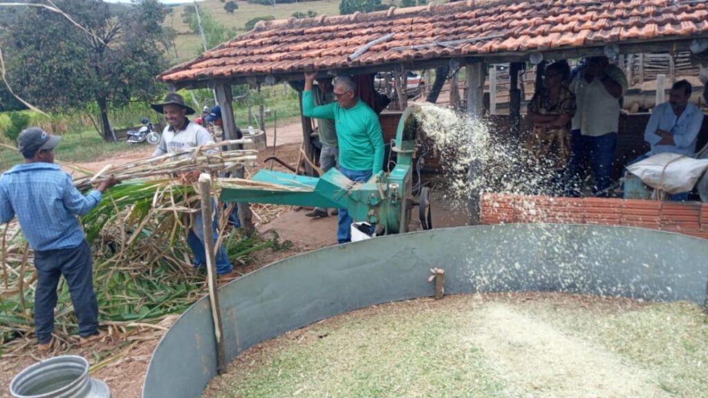 Emater-MG incentiva produção de silagem para enfrentar a estiagem