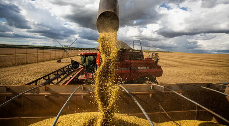 Portal Prudentino - Estudo indica viabilidade de maior cultivo de soja na região de PP