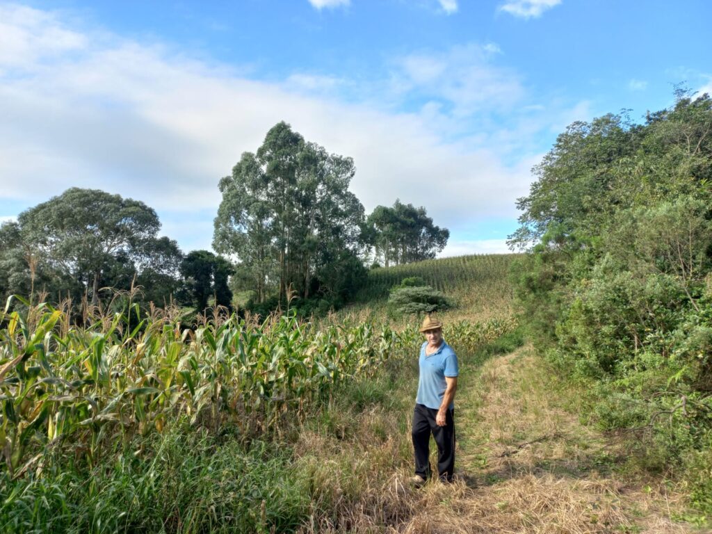 Família Borges: Uma vida dedicada à terra e ao crescimento de Nova Alvorada