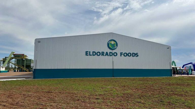 Nova fecularia em Eldorado gerará mais de 330 empregos - Correio do Estado
