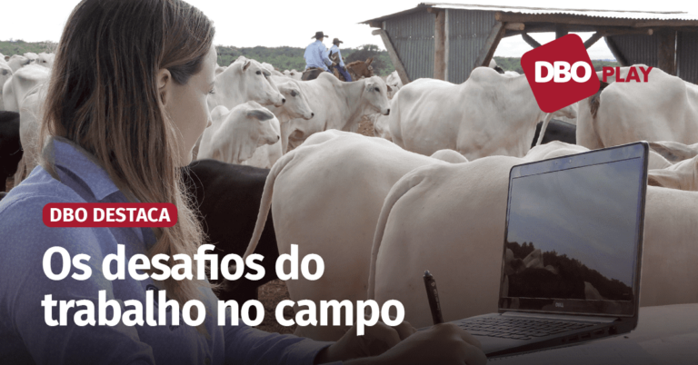 Apagão de mão de obra é gargalo para o crescimento tecnológico da pecuária brasileira • Portal DBO