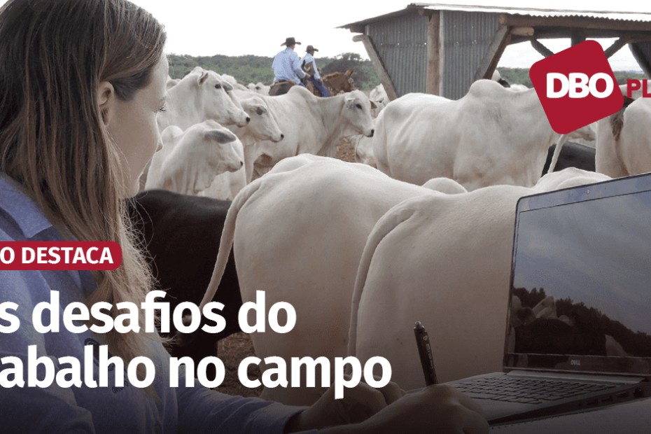 Apagão de mão de obra é gargalo para o crescimento tecnológico da pecuária brasileira • Portal DBO