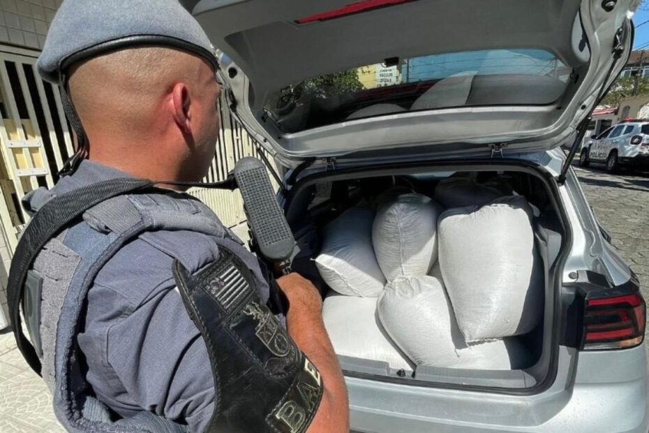 Policiais do Baep prendem homem com meia tonelada de soja furtada em Cubatão, SP | Santos e Região