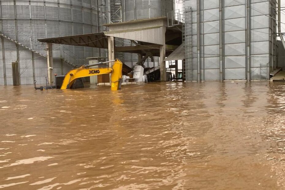 Destruição de lavouras de soja no RS pode encarecer frango e porco, além do óleo, dizem analistas | Agronegócios