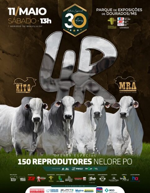 30ª edição do Leilão 4R conta com a oferta de 150 reprodutores Nelore PO - Sala da Notícia