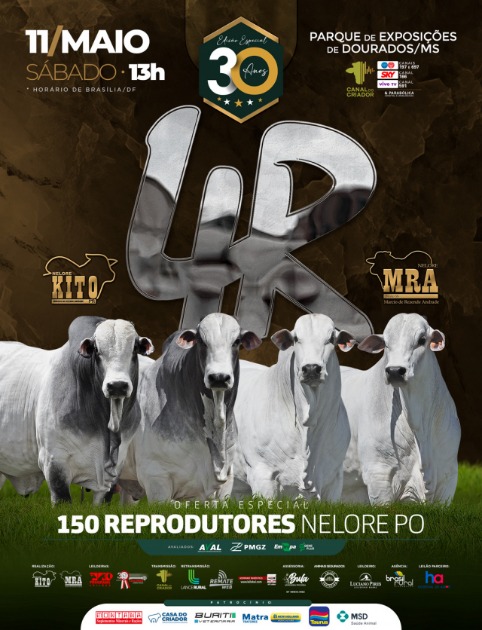 30ª edição do Leilão 4R conta com a oferta de 150 reprodutores Nelore PO - Sala da Notícia