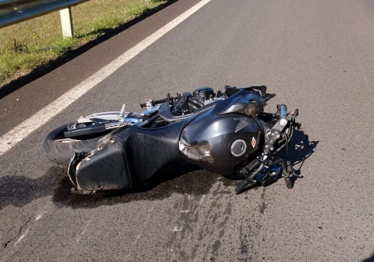 Motociclista colide com cavalo em ST e escapa da morte - Farol de Notícias