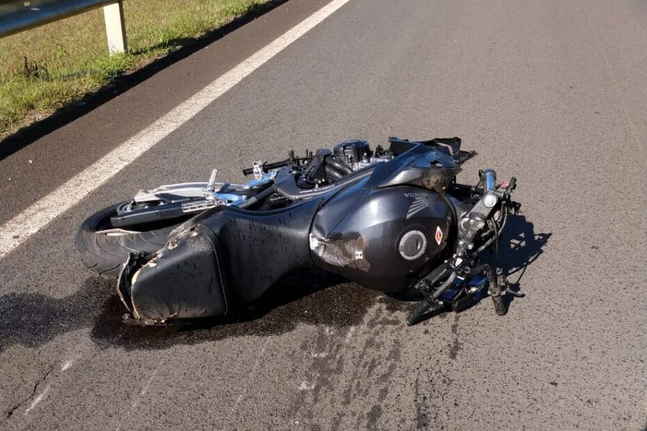 Motociclista colide com cavalo em ST e escapa da morte - Farol de Notícias