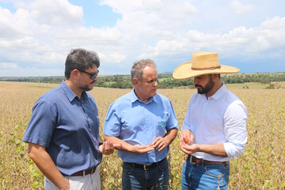 Projeto entre Embrapa e Sicoob Credinacional promove reconversão produtiva de propriedades rurais ‹ O Regional