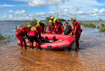 Bombeiros e veterinário da SMCA resgatam pônei na Ilha da Torotama
