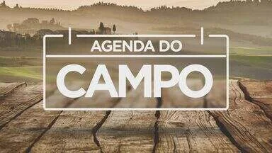 Agenda Rural: O que fazer esta semana (13 a 19 de maio) 2 Produção de laranja do noroeste é afetada pelo calor - Altas temperaturas e baixo volume de chuvas devem reduzir rendimento da safra
