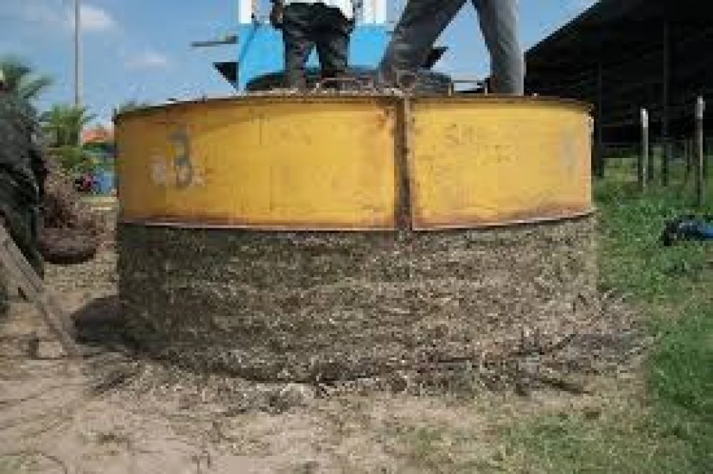 Agricultores de Minas Gerais se preparam para a seca com silagem - Ponta Porã Informa. 15 Agricultores mineiros se preparam para seca fazendo silagem - Ponta Porã Informa - Notícias de Ponta Porã - MS e Pedro Juan Caballero