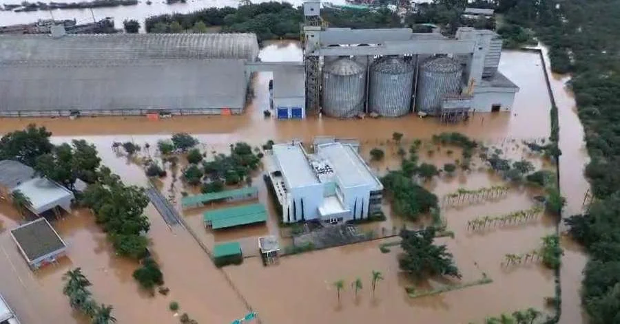 Alerta em Canoas: Soja submersa causa estragos 9 Soja submersa danifica silos e armazéns em Canoas