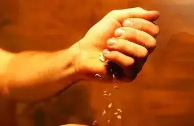 Correção do solo: passo essencial