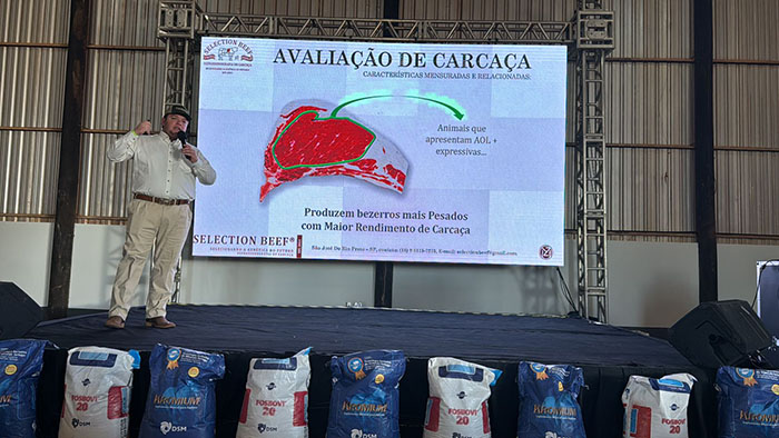 A Mídia Eletrônica mais completa de Mato Grosso do Sul