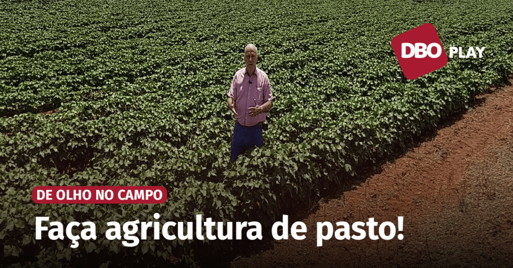 Você está conduzindo seu pasto como uma lavoura? • Portal DBO - Portal DBO