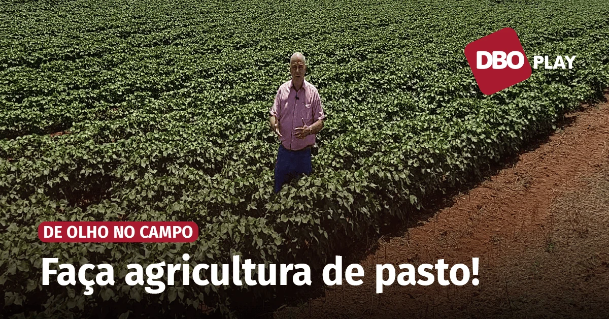 Você está conduzindo seu pasto como uma lavoura? • Portal DBO - Portal DBO