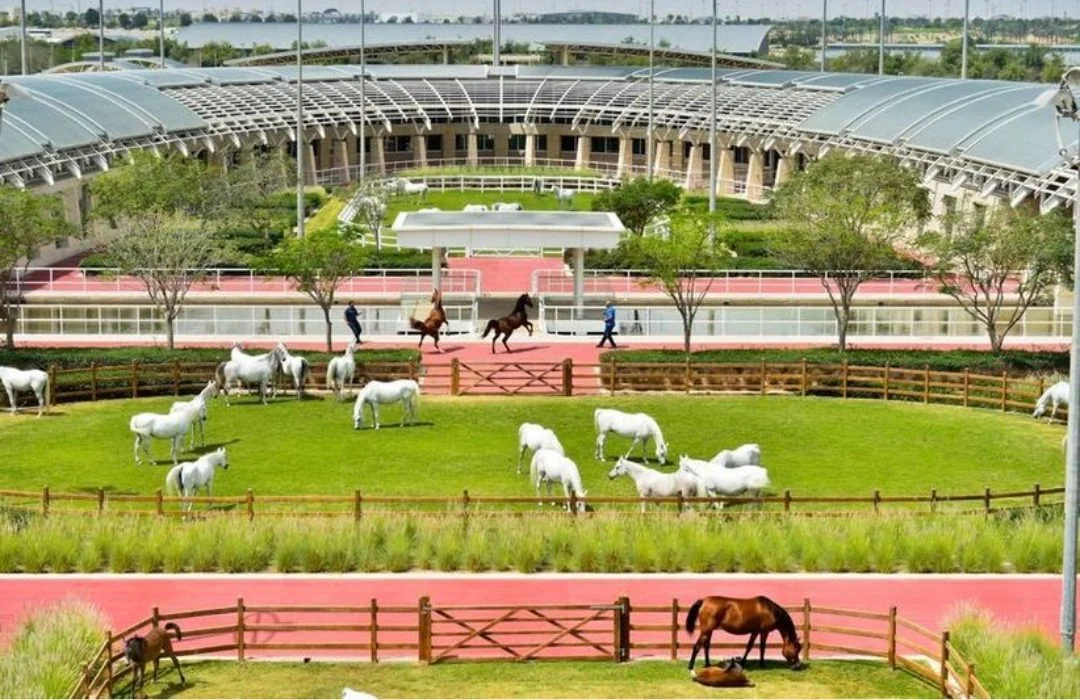 Descubra o haras mais luxuoso: Vídeo exclusivo - CompreRural 1 Conheça o maior e mais luxuoso haras do mundo; Vídeo — CompreRural