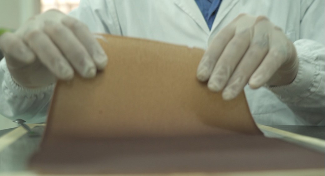 Descubra o inovador bioplástico feito de casca de banana para embalar alimentos