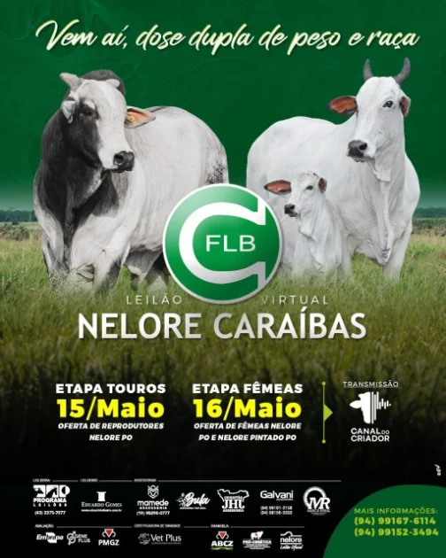 Animais puros de origem serão destaque no Leilão V