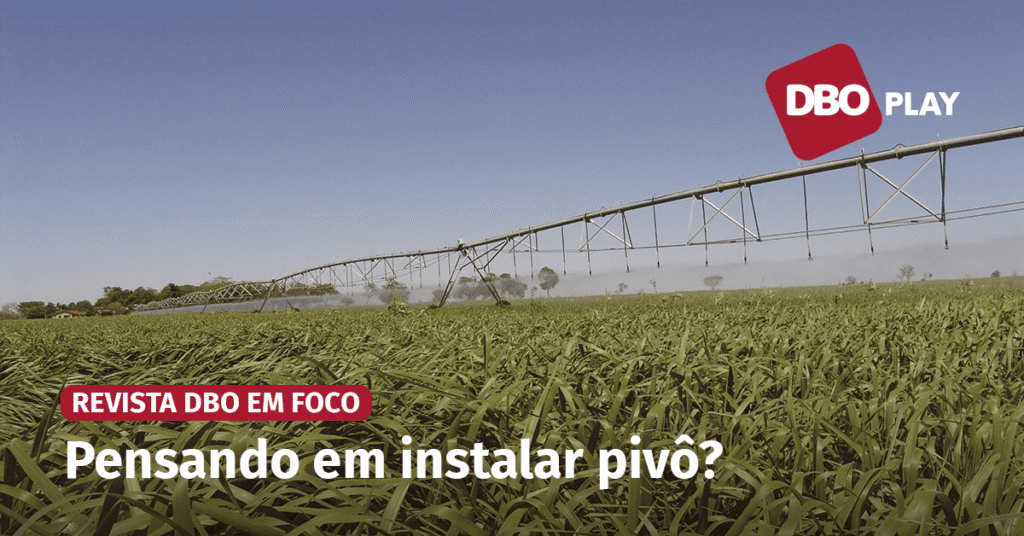 veja o que é preciso avaliar na montagem do projeto • Portal DBO