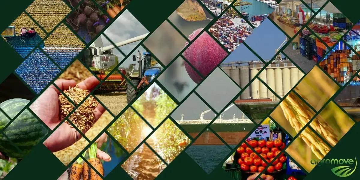 Eficiência da tecnologia na logística de distribuição de produtos agrícolas