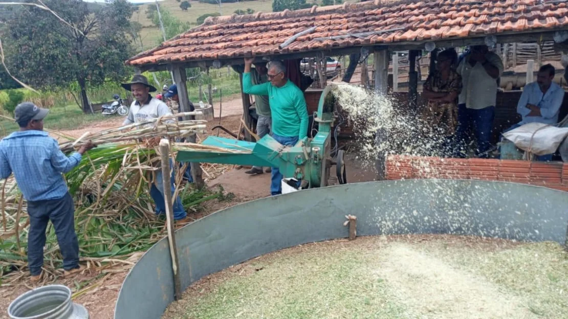 Emater-MG: saiba como produzir silagem para driblar a seca 11 Emater-MG incentiva produção de silagem para enfrentar a estiagem