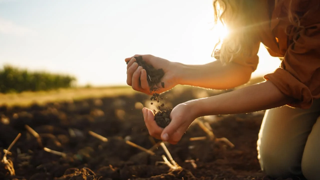 Embrapa lança projeto inovador para revitalizar solos em pequenas propriedades 9 Projeto da Embrapa irá recuperar os solos em propriedades de agricultura familiar