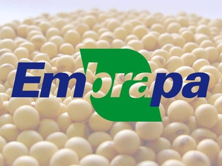 Embrapa lidera encontro global sobre pesquisa agrícola