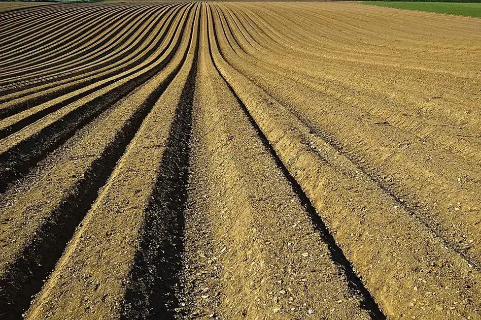 Estoque de Fertilizantes e sua Repercussão nos Preços da Safra Agrícola