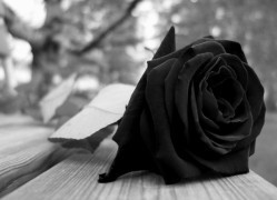 Estudante Matheus de Paula Lopes – UFLA: Nota de falecimento.