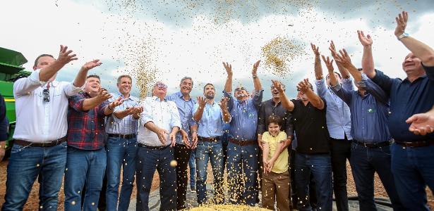 Expansão agrícola no RS: Soja cresce 5x em 40 anos