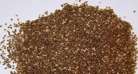 Garantindo a Qualidade das Sementes Certificadas na Produção de Pastagem