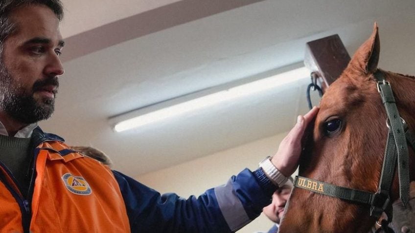 Governador emocionado ao encontrar cavalo resgatado: “Alegria imensa”