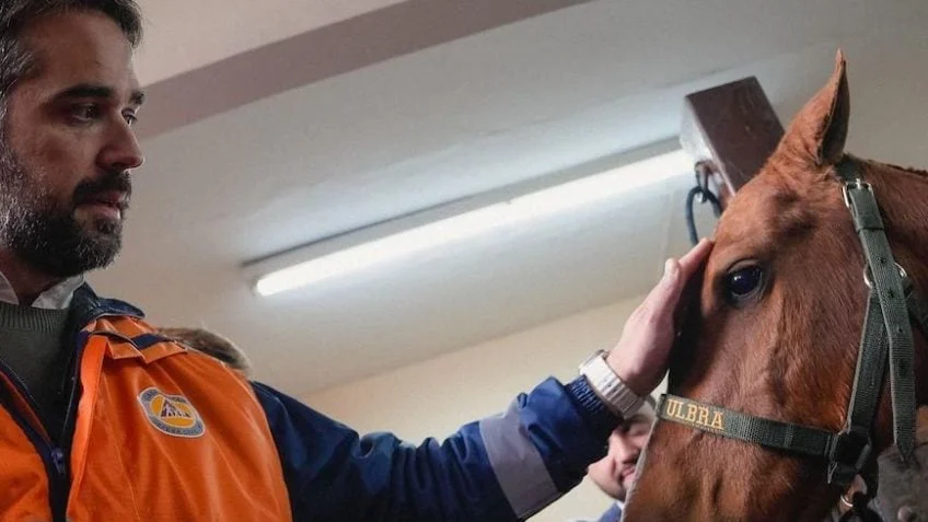 Governador emocionado ao encontrar cavalo resgatado: "Alegria imensa" 2 Eduardo Leite, governador do RS, visitou cavalo Caramelo