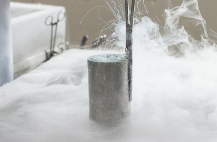 Inseminação artificial: Asbia celebra 50 anos de sucesso 4 Asbia: 50 anos de ações para o avanço da inseminação artificial