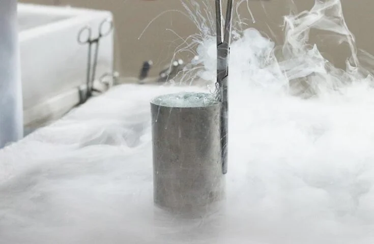 Inseminação artificial: Asbia celebra 50 anos de sucesso 7 Asbia: 50 anos de ações para o avanço da inseminação artificial