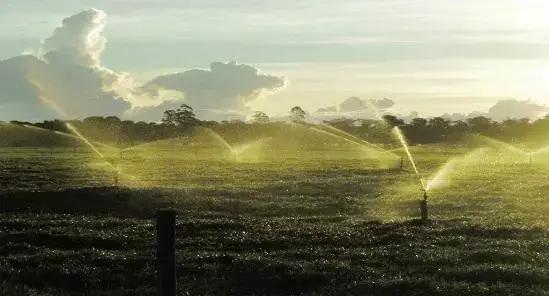 Irrigação Pastagem: 10 Dicas Para Aumentar Rentabilidade e Produtividade Sem Aumentar Custos