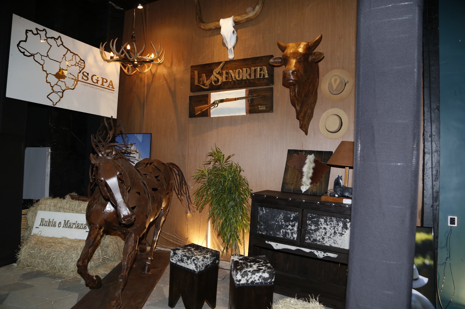 Pecuária: Cavalgada em ambiente rural inspirador!