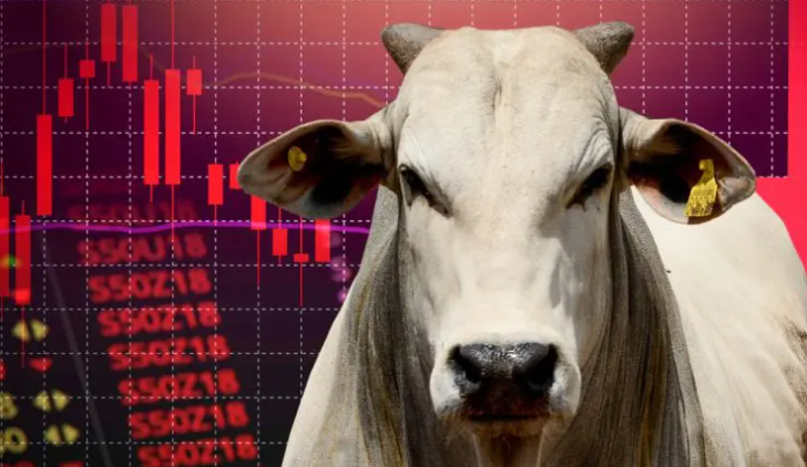 Boi gordo terá queda assustadora nos próximos meses; confira o preço do boi em MS