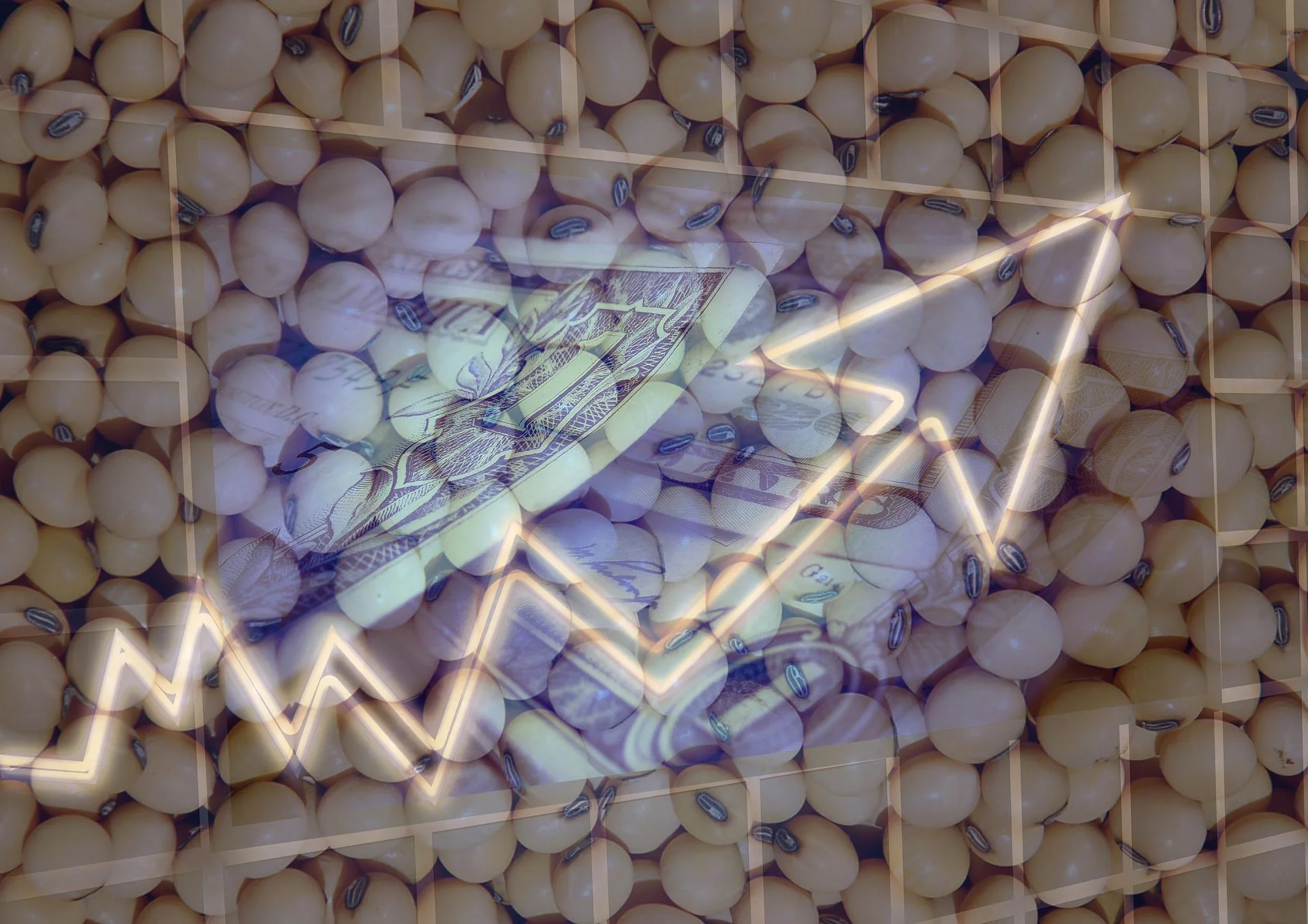 Descubra como o relatório do USDA impactou os preços da soja! 17 soja preço cotação pib Chicago dólar