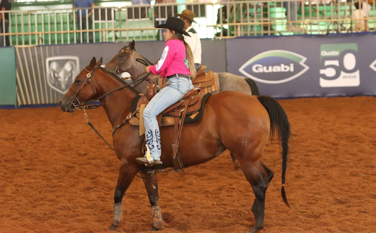 Rações inovadoras impulsionam crescimento do rebanho equino no Brasil 9 Rações inovadoras e tecnológicas apoiam crescimento do rebanho equino no Brasil — CompreRural