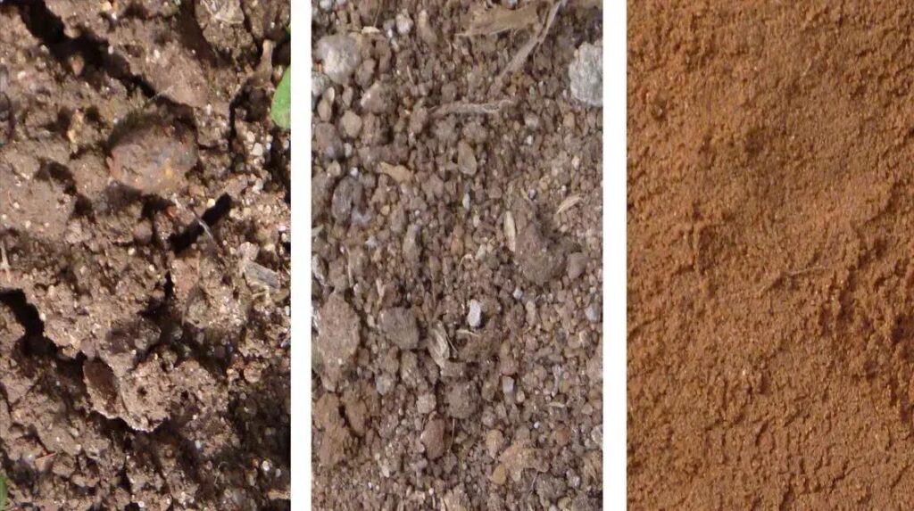 Recuperação de Culturas: 10 Estratégias para Aumentar Produtividade