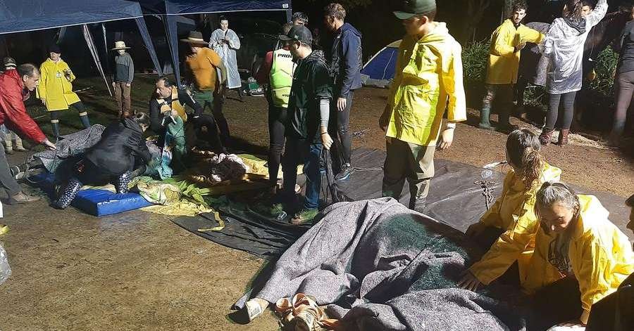 Resgate emocionante: Sete cavalos salvos na Ilha das Flores