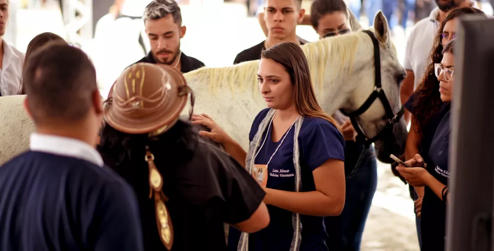 PATOS ONLINE - O seu Portal de Notícias de Patos e Região