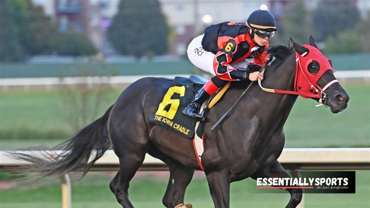 Tragédia nas corridas de cavalos: Falha na indústria causa revolta na tribo de Tyler