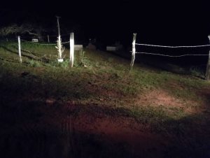 Tragédia no Capim Branco: Corpos carbonizados chocam – Plantão Notícia