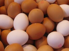 Mercado de ovos se enfraquece na segunda quinzena de junho | Aves
